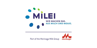 Logo kompanije: MILEI